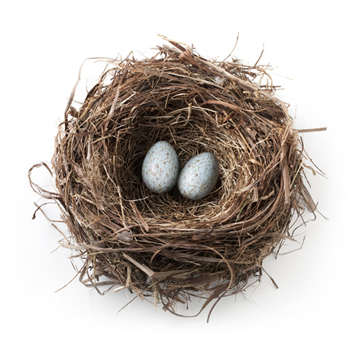 Eggs in a nest - Hine Chartered Insurance Brokers